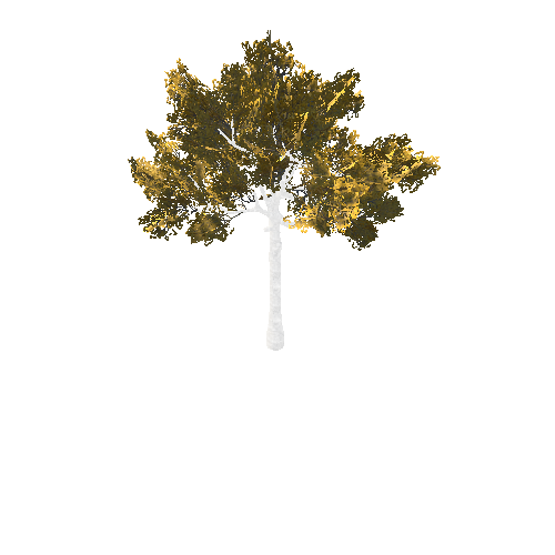 BeecthTree02GoldC2_afsTREE_xmvcb _xlod00_xlp_1